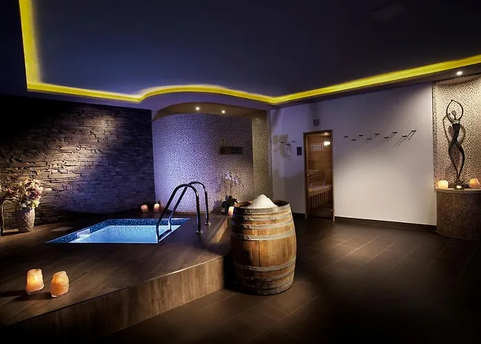 Hotel Vinarstvi U Kaplicky *